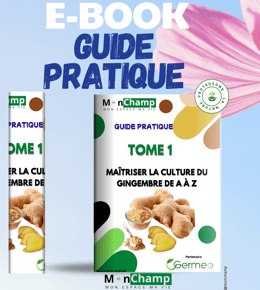 TOME 1: Formation culture du gingembre : Maîtriser la culture du gingembre de A à Z