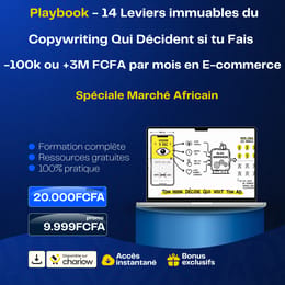 14 Leviers du Copywriting Qui Décident si  tu Fais -100K ou +3M par mois en  E-commerce
