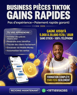 Formation Complète: Revends des Pièces TikTok et Génère un Cash Quotidien
