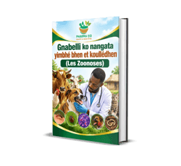 Gnabelli ko nangata yimbhé bhen et koullédhen (Les Zoonoses)