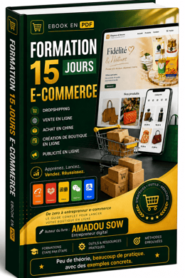 Formation 15 jours E-commerce en Afrique très pratique avec des exemples concrets