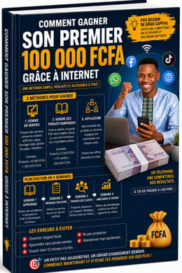 Comment gagner son premier 100 000 F grâce â internet