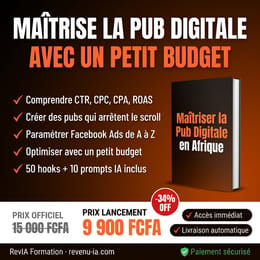 Maîtriser la Pub Digitale en Afrique