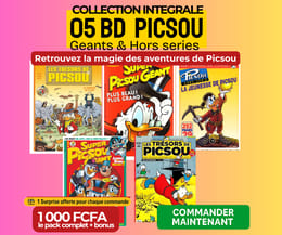 5 BD Picsou =1 000 FCFA