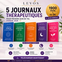 5 Journaux Thérapeutiques Digitaux