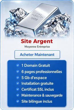 Création et Hébergement d' un  Site Web  Argent /1 An
