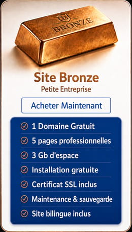 Création et Hébergement d' un Site Bronze 5 pags
