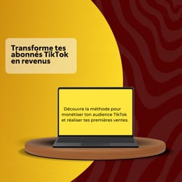 Transforme tes abonnés TikTok en revenus