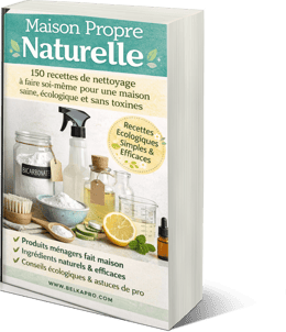 Fait maison, zéro chimie — Le guide complet des produits ménagers naturels