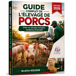 GUIDE D'ÉLEVAGE DE PORCS RENTABLE Tout ce qu'il faut savoir pour bâtir un élevage moderne