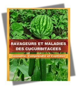 GUIDE COMPLET POUR RAVAGEURS ET MALADIE DES CUCURBITACEE, connaître, comprendre et contrôler