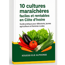 10 CULTURES MARAÎCHÈRES FACILES ET RENTABLES EN CÔTE D’IVOIRE ET EN AFRIQUE