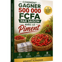 "Comment Gagner 500 000 FCFA par Saison avec le Piment"