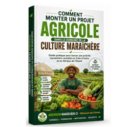 COMMENT MONTER UN PROJET AGRICOLE DANS LE DOMAINE DE LA CULTURE MARAÎCHÈRE