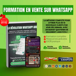 LA VENTE SUR WHATSAPP : LA REVOLUTION DES PUBLICITES WHATSAPP