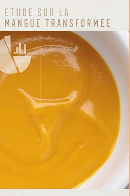 Étude sur le jus de mangue