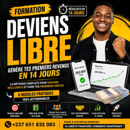 DeviensLibre créé ta source de revenus en 14 jours