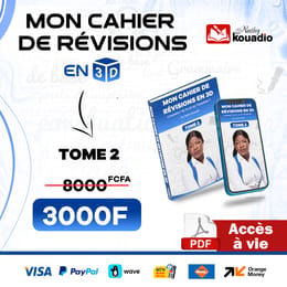 MON CAHIER DE REVISIONS EN 3D - tome 2 - Nathy kouadio
