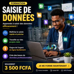 Saisis des Données et Gagne +80K FCFA/mois