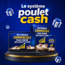 Le système poulet cash  (Pour vendre les poulets chair en 35 jours grâce au digital)