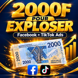 2000F POUR EXPLOSER : Guide Facebook + TikTok Ads