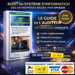 L’AUDIT DU SI DANS LES MISSIONS DE COMMISSARIAT AUX COMPTES EN ZONE OHADA