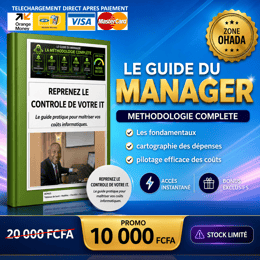 LE GUIDE PRATIQUE POUR MAITRISER VOS COUTS INFORMATIQUES