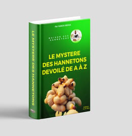 Le mystere des hannetons devoilé de A à Z