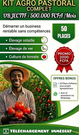 🌾🐓KIT AGROPASTORAL COMPLET : Comment générer 500.000 FCFA/mois SANS COMPETENCE