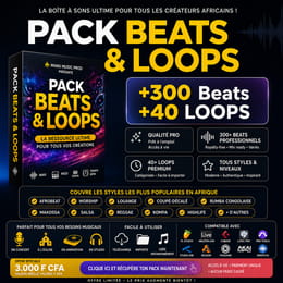 MÉGA PACK : +300 BEATS ET +40 LOOPS (TOUS LES STYLES)