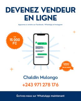 De Zéro à Vendeur en Ligne