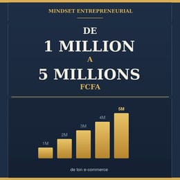 DE 1 MILLION A 5 MILLIONS FCFA  le systeme pour multiplier par 5 le chiffre d'affaires mensuel
