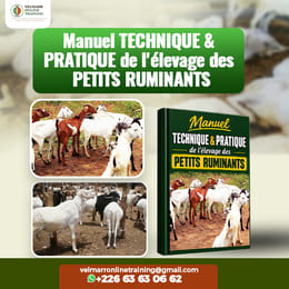 Manuel TECHNIQUE et PRATIQUE de l'élevage des PETITS RUMINANTS