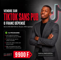 MasterClass Vidéo : Vendre sur TikTok sans publicité