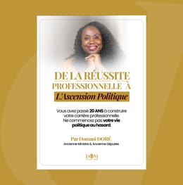 Le Guide DE LA RÉUSSITE PROFESSIONNELLE À L'ASCENSION POLITIQUE