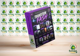 Transtion Flash