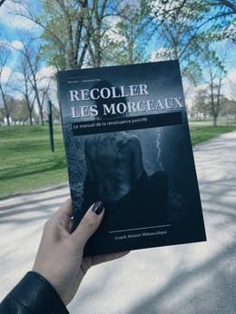 Recoller les morceaux : Le manuel de la renaissance post-PN