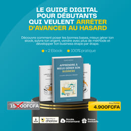Guide : Apprendre à mieux gérer son business