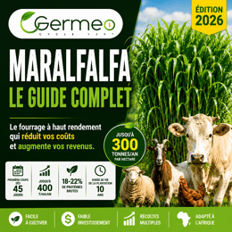 Guide Complet Pour Produire un Fourrage Ultra Rentable et Nourrir Plus d’Animaux Avec Moins d’Argent