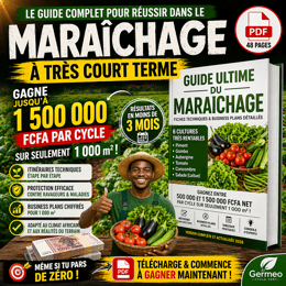 Guide Ultime : Fiches Techniques & Business Plans des Cultures Maraîchères à Court Terme