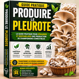 Guide pratique de la culture des champignons comestibles (Pleurotus ostreatus)