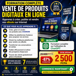 FORMATION COMPLÈTE : METHODES POUR GÉNÉRER DES REVENUS EN LIGNE
