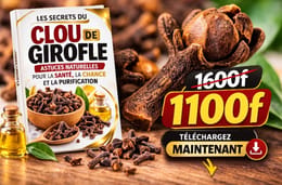 Les Secrets du Clou de Girofle