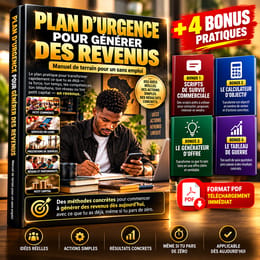 Q4_PLAN D'URGENCE POUR GENERER DES REVENUS RAPIDEMENT