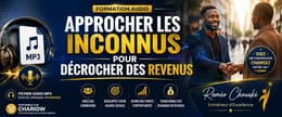 APPROCHER LES INCONNUS POUR DÉCROCHER DES REVENUS (copy)