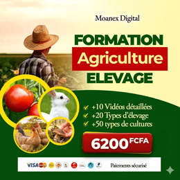 Formation Vidéo en Agriculture et Élevage – Devenez un Expert Agropastoral