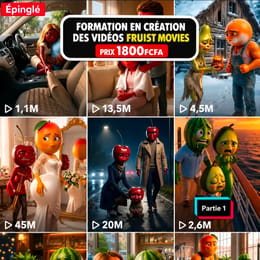 TikTok Premium – Formation Monétisation TikTok Afrique 🔥 LA NICHE SECRÈTE QUI EXPLOSE SUR TIKTOK