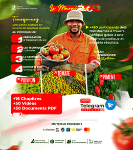 Le Maraicher 2.0 (Formation en ligne sur la Tomate, le Piment et le Poivron)