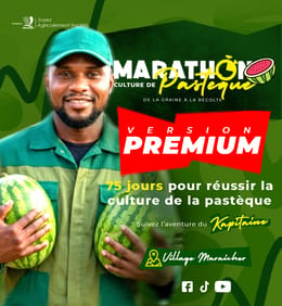 Marathon de la Culture de Pastèque