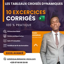Excel TCD Pro - Formation 100 % Pratique ( 10 Exercices Corrigés )